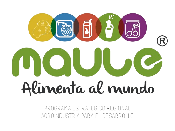 Imagen-de-WhatsApp-2024-03-27-a-las-14.03.22_4d0e6bce-removebg-preview