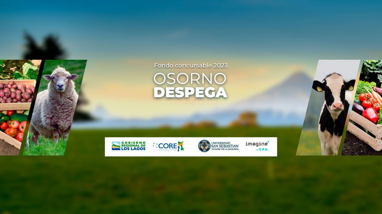Fondo concursable para pymes silvoagropecuario Osorno despega 2023